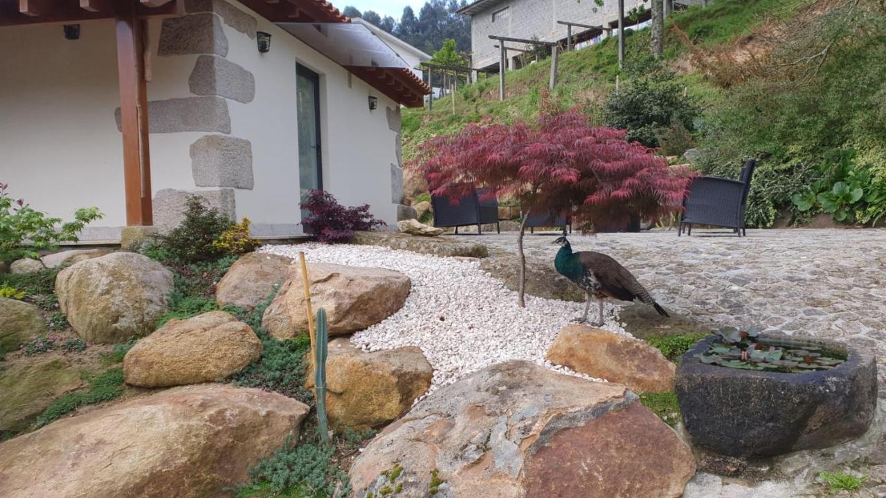 Quinta Da Vinha Do Souto Villa Arouca Dış mekan fotoğraf