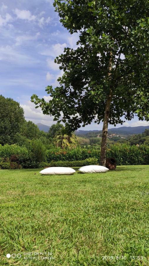 Quinta Da Vinha Do Souto Villa Arouca Dış mekan fotoğraf