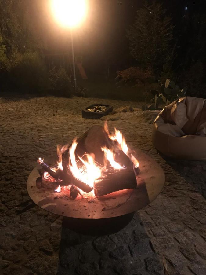 Quinta Da Vinha Do Souto Villa Arouca Dış mekan fotoğraf